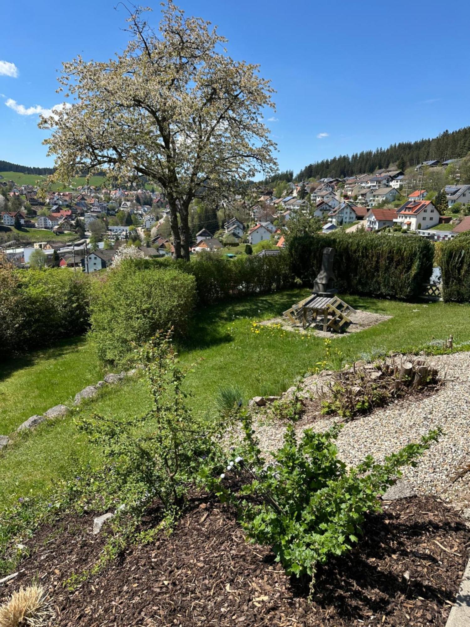 Appartamento Sonneck Schonach Schonach im Schwarzwald Esterno foto